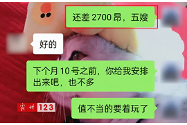 绿岛湖公馆讨债事件：揭开房地产债务危机的冰山一角